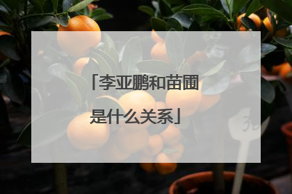 李亚鹏和苗圃是什么关系