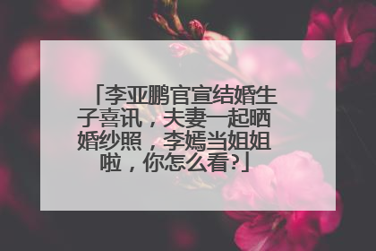 李亚鹏官宣结婚生子喜讯,夫妻一起晒婚纱照,李嫣当姐姐啦,你怎么看?