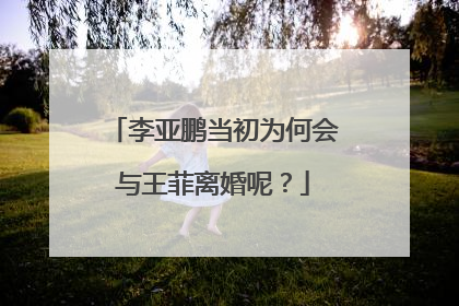 李亚鹏当初为何会与王菲离婚呢？