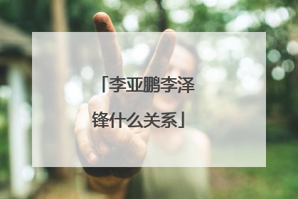 李亚鹏李泽锋什么关系