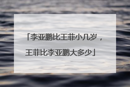 李亚鹏比王菲小几岁，王菲比李亚鹏大多少