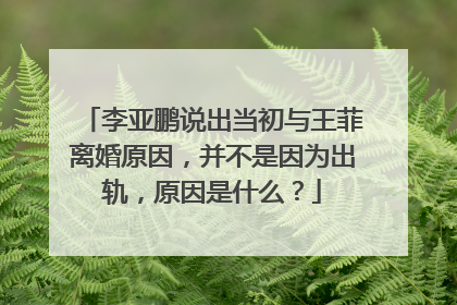 李亚鹏说出当初与王菲离婚原因，并不是因为出轨，原因是什么？