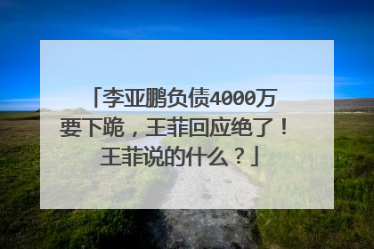 李亚鹏负债4000万要下跪，王菲回应绝了！ 王菲说的什么？