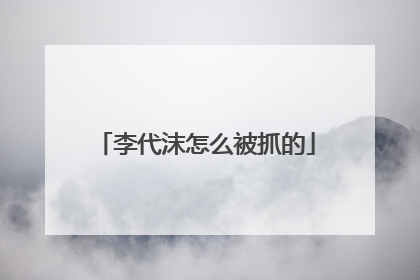 李代沫怎么被抓的