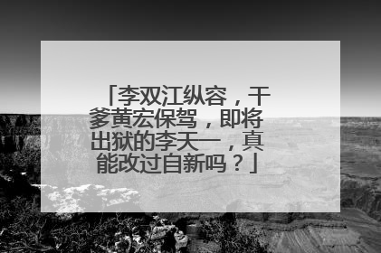 李双江纵容,干爹黄宏保驾,即将出狱的李天一,真能改过自新吗?