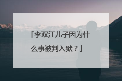 李双江儿子因为什么事被判入狱？