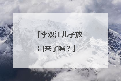 李双江儿子放出来了吗?