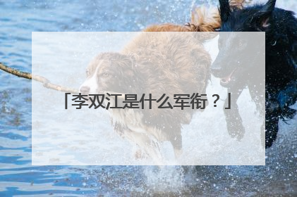 李双江是什么军衔？