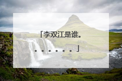 李双江是谁。。。。。。。