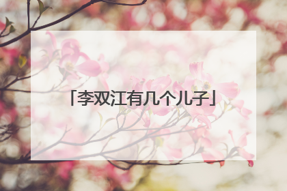 李双江有几个儿子