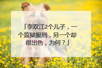 李双江2个儿子，一个监狱服刑，另一个却很出色，为何？