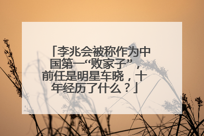 李兆会被称作为中国第一“败家子”，前任是明星车晓，十年经历了什么？