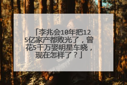 李兆会10年把125亿家产都败光了,曾花5千万娶明星车晓,现在怎样了?