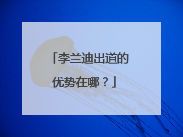 李兰迪出道的优势在哪？