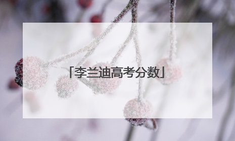 李兰迪高考分数