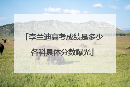 李兰迪高考成绩是多少 各科具体分数曝光