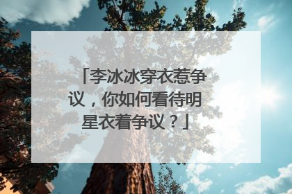 李冰冰穿衣惹争议,你如何看待明星衣着争议?