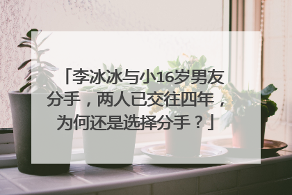 李冰冰与小16岁男友分手，两人已交往四年，为何还是选择分手？