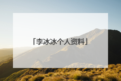 李冰冰个人资料