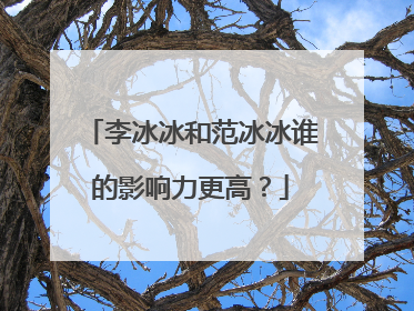 李冰冰和范冰冰谁的影响力更高？