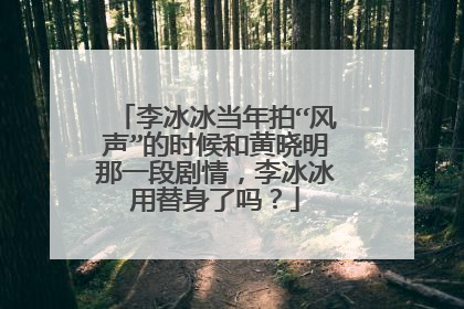 李冰冰当年拍“风声”的时候和黄晓明那一段剧情,李冰冰用替身了吗?