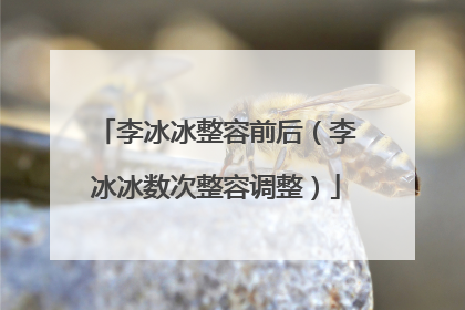 李冰冰整容前后（李冰冰数次整容调整）