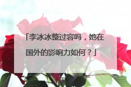 李冰冰整过容吗,她在国外的影响力如何?