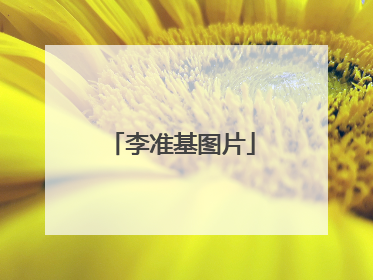 李准基图片