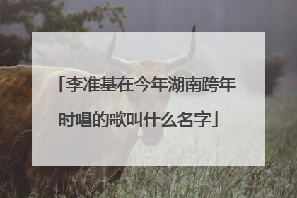 李准基在今年湖南跨年时唱的歌叫什么名字
