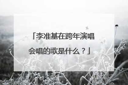 李准基在跨年演唱会唱的歌是什么？