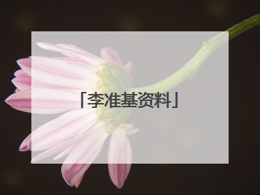 李准基资料