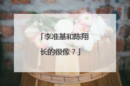 李准基和陈翔长的很像？