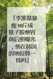 李准基暴瘦30斤成锥子脸整容前后照曝光，他在韩国的地位算一线吗