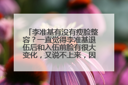 李准基有没有瘦脸整容？一直觉得李准基退伍后和入伍前脸有很大变化，又说不上来，因为一是瘦了几十斤是