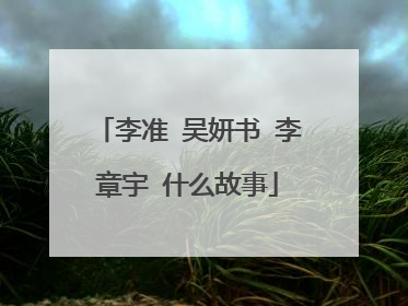 李准 吴妍书 李章宇 什么故事