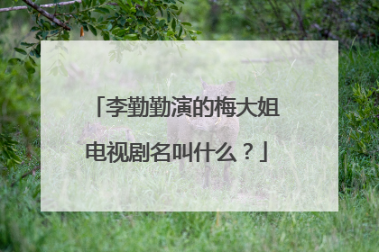 李勤勤演的梅大姐电视剧名叫什么?