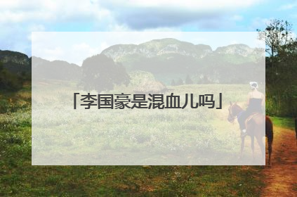 李国豪是混血儿吗