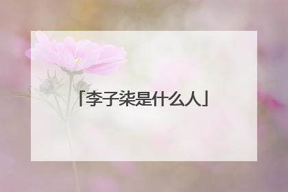 李子柒是什么人