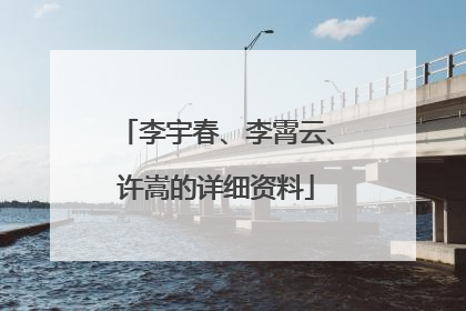 李宇春、李霄云、许嵩的详细资料