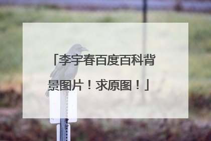 李宇春百度百科背景图片!求原图!
