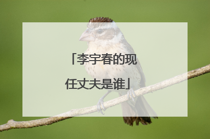 李宇春的现任丈夫是谁