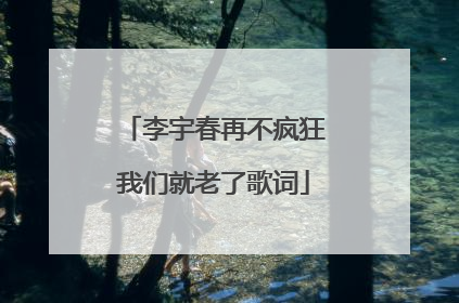 李宇春再不疯狂我们就老了歌词