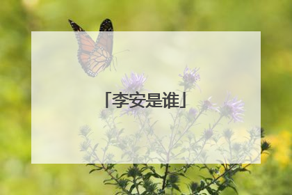 李安是谁
