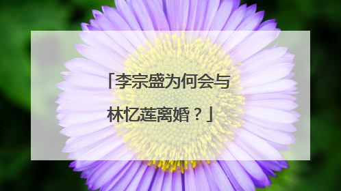 李宗盛为何会与林忆莲离婚？