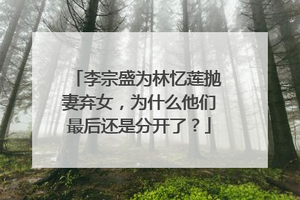 李宗盛为林忆莲抛妻弃女，为什么他们最后还是分开了？