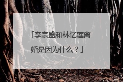 李宗盛和林忆莲离婚是因为什么?