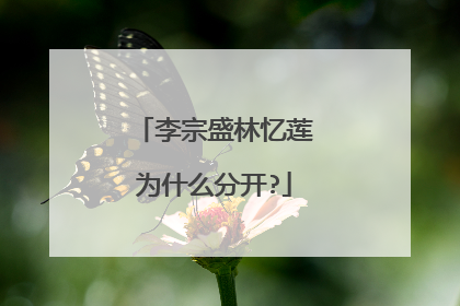 李宗盛林忆莲为什么分开?