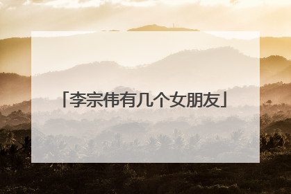 李宗伟有几个女朋友