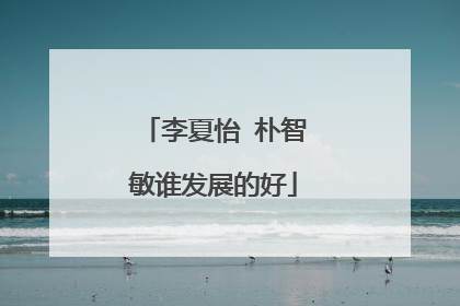 李夏怡 朴智敏谁发展的好