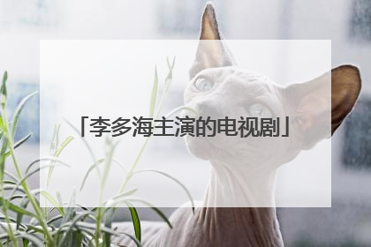 李多海主演的电视剧